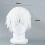 Tokyo Ghoul Cosplay Wigs